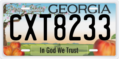 GA license plate CXT8233