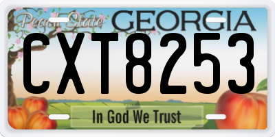 GA license plate CXT8253