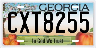 GA license plate CXT8255