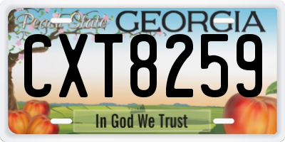 GA license plate CXT8259
