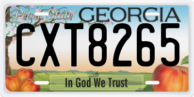 GA license plate CXT8265