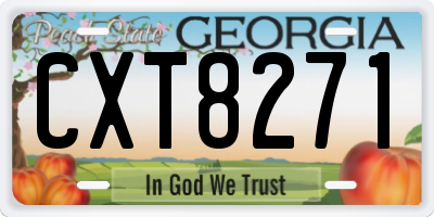 GA license plate CXT8271