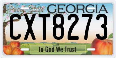 GA license plate CXT8273