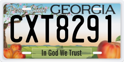 GA license plate CXT8291