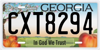 GA license plate CXT8294