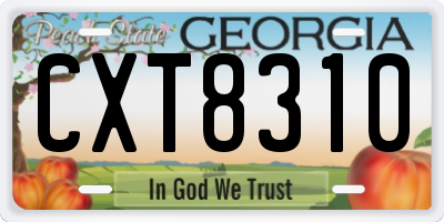 GA license plate CXT8310