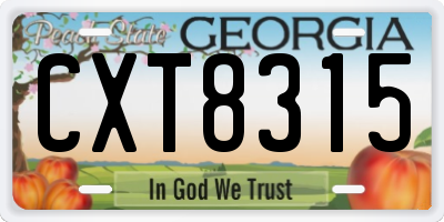 GA license plate CXT8315