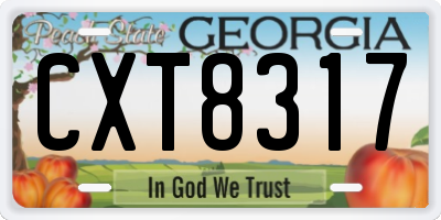 GA license plate CXT8317