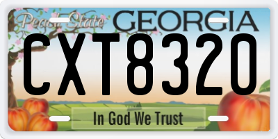 GA license plate CXT8320