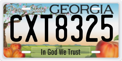 GA license plate CXT8325
