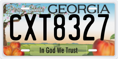 GA license plate CXT8327