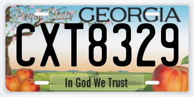 GA license plate CXT8329
