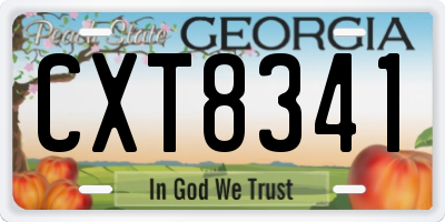 GA license plate CXT8341