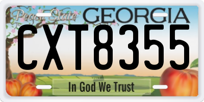 GA license plate CXT8355