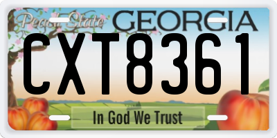 GA license plate CXT8361