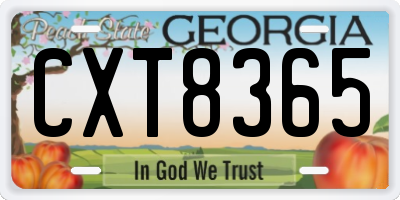 GA license plate CXT8365