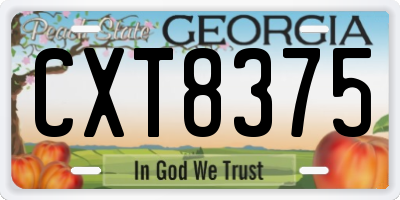 GA license plate CXT8375