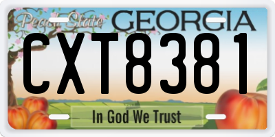 GA license plate CXT8381