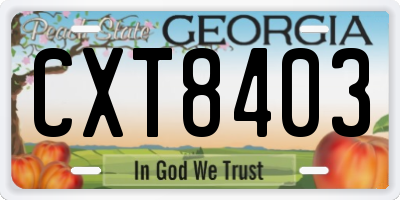 GA license plate CXT8403