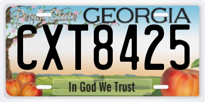 GA license plate CXT8425