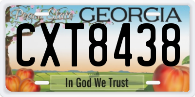 GA license plate CXT8438