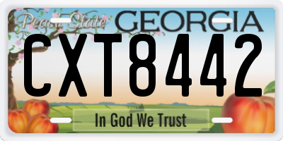 GA license plate CXT8442