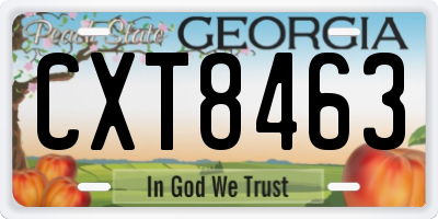 GA license plate CXT8463