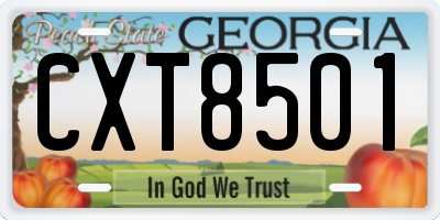 GA license plate CXT8501