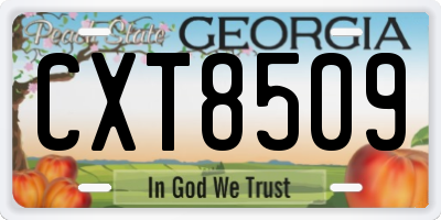 GA license plate CXT8509