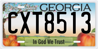 GA license plate CXT8513