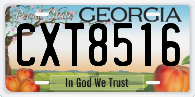 GA license plate CXT8516