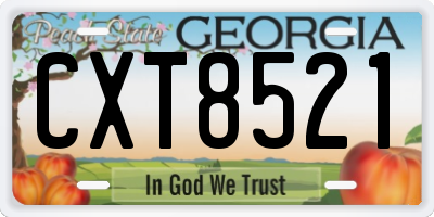 GA license plate CXT8521