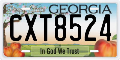 GA license plate CXT8524