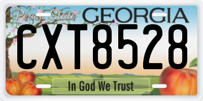 GA license plate CXT8528