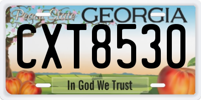 GA license plate CXT8530