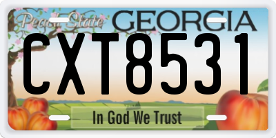 GA license plate CXT8531