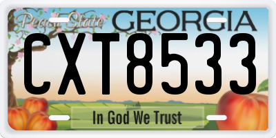 GA license plate CXT8533
