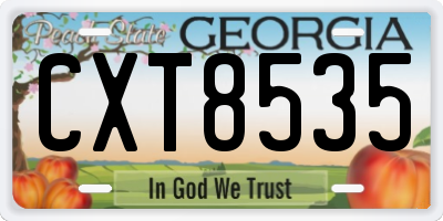 GA license plate CXT8535
