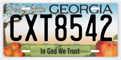GA license plate CXT8542