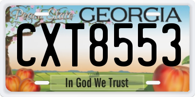 GA license plate CXT8553