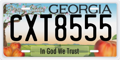 GA license plate CXT8555