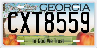 GA license plate CXT8559