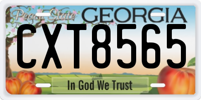 GA license plate CXT8565