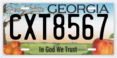 GA license plate CXT8567