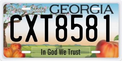 GA license plate CXT8581