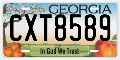 GA license plate CXT8589