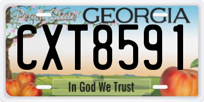 GA license plate CXT8591