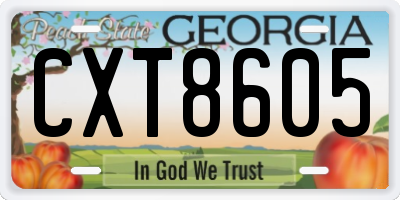 GA license plate CXT8605
