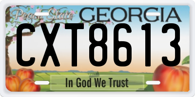 GA license plate CXT8613