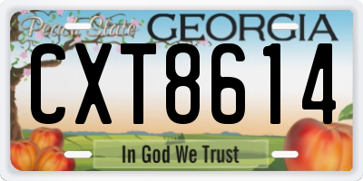 GA license plate CXT8614